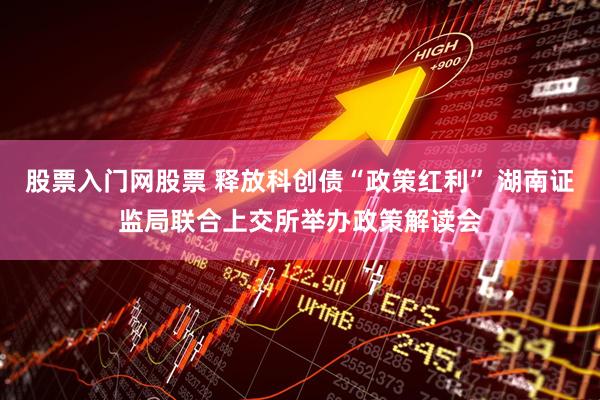 股票入门网股票 释放科创债“政策红利” 湖南证监局联合上交所举办政策解读会