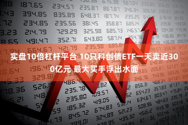 实盘10倍杠杆平台 10只科创债ETF一天卖近300亿元 最大买手浮出水面