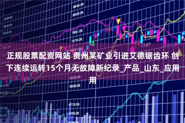 正规股票配资网站 贵州某矿业引进艾德锯齿环 创下连续运转15个月无故障新纪录_产品_山东_应用
