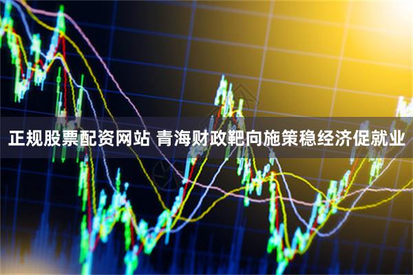 正规股票配资网站 青海财政靶向施策稳经济促就业