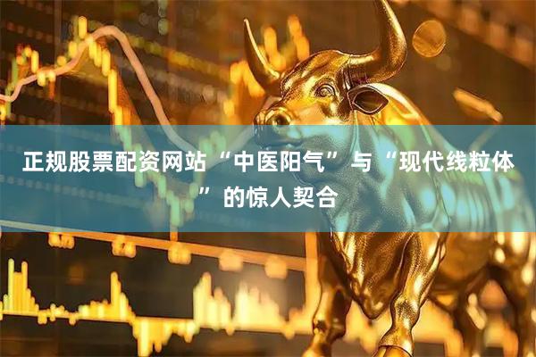 正规股票配资网站 “中医阳气” 与 “现代线粒体” 的惊人契合