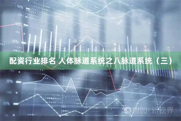 配资行业排名 人体脉道系统之八脉道系统（三）