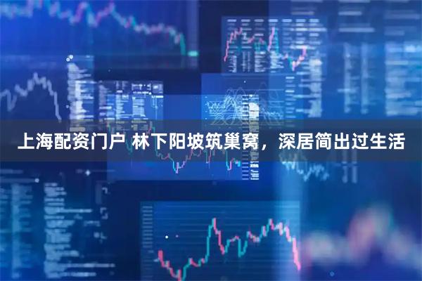 上海配资门户 林下阳坡筑巢窝，深居简出过生活
